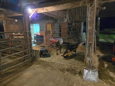 Great Barn Cleanup, 12-28-24, #7.jpg