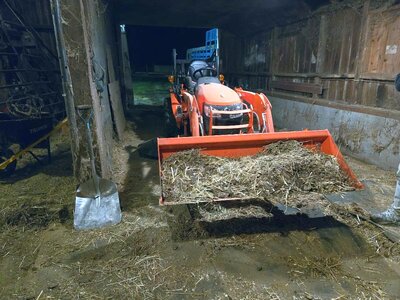 Great Barn Cleanup, 12-28-24, #8.jpg