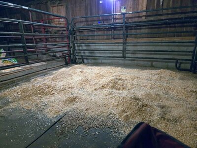 Great Barn Cleanup, 12-29-24, #4.jpg