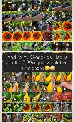 garden pics.jpg