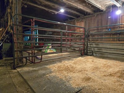 Great Barn Cleanup, 12-29-24, #3.jpg