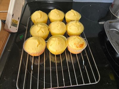 Corn muffins, 01-19-25.jpg