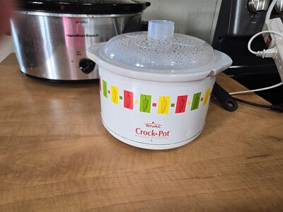 Rival Crock pot, pre millenial, 01-19-25.jpg