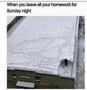 zhomework.jpg