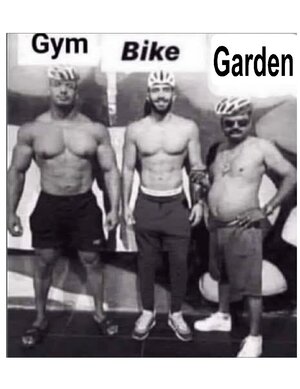 gym bike garden.jpg