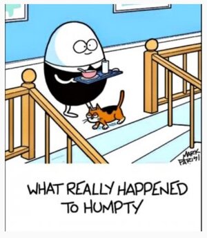 zhumpty.jpg