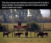 horse chair.jpg